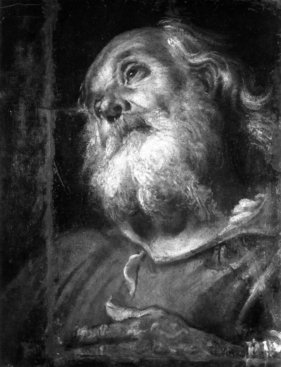 Testa di vecchio barbato - Firenze